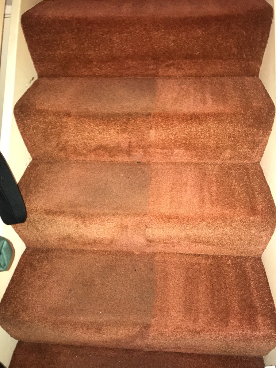 Cleaner: Image 5